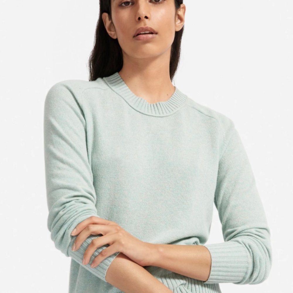 100% Cashmere Everlane sweater